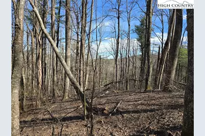 Tbd Parkway Estates Rd, Laurel Springs, NC 28644 - Photo 4