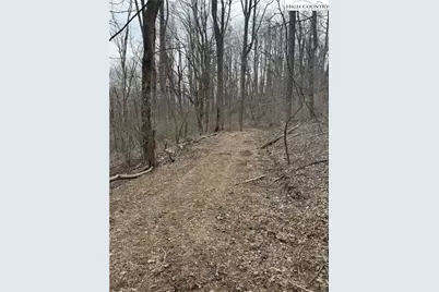 Tbd Parkway Estates Rd, Laurel Springs, NC 28644 - Photo 14