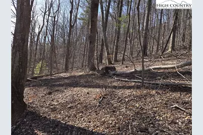 Tbd Parkway Estates Rd, Laurel Springs, NC 28644 - Photo 10