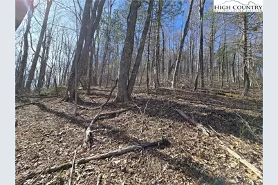 Tbd Parkway Estates Rd, Laurel Springs, NC 28644 - Photo 6