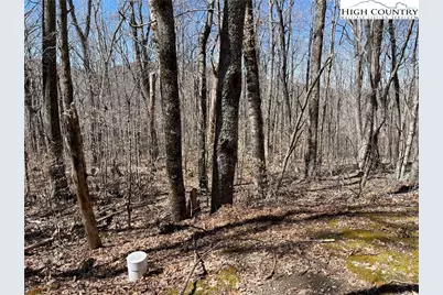 Lot B Tyneridge Drive, Banner Elk, NC 28604 - Photo 12