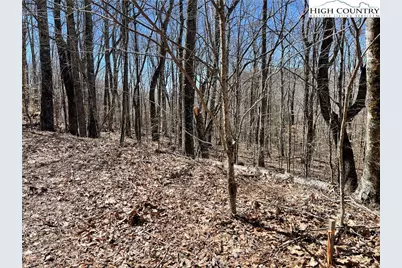 Lot B Tyneridge Drive, Banner Elk, NC 28604 - Photo 8