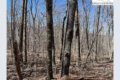 Lot B Tyneridge Drive, Banner Elk, NC 28604 - Photo 6