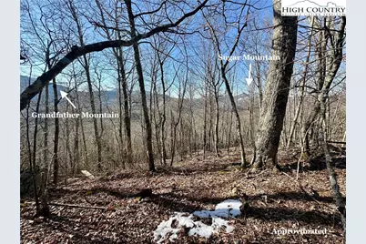 7 Finally Way, Banner Elk, NC 28604 - Photo 2