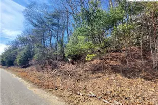 00 Little Buck Hill Rd, Newland, NC 28657 - Photo 1
