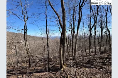 Lot 29 Crown Maple Lane, West Jefferson, NC 28640 - Photo 2