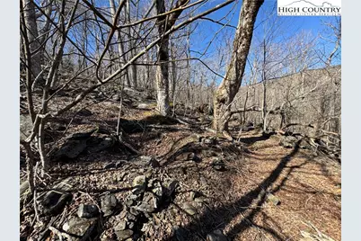 Lot 29 Crown Maple Lane, West Jefferson, NC 28640 - Photo 12