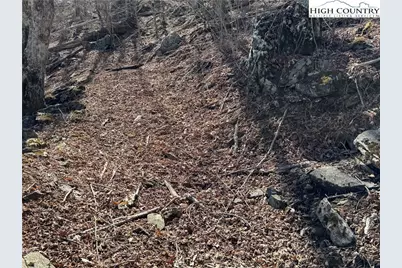 Lot 29 Crown Maple Lane, West Jefferson, NC 28640 - Photo 14