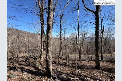 Lot 29 Crown Maple Lane, West Jefferson, NC 28640 - Photo 16