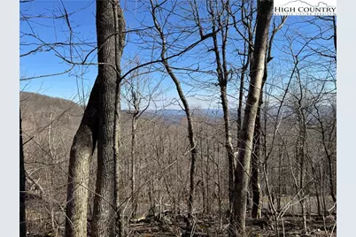 Lot 29 Crown Maple Lane, West Jefferson, NC 28640 - Photo 18