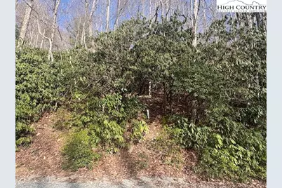 293 Poplar Drive, Beech Mountain, NC 28604 - Photo 1