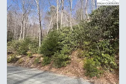 293 Poplar Drive, Beech Mountain, NC 28604 - Photo 2