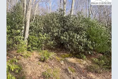 293 Poplar Drive, Beech Mountain, NC 28604 - Photo 6