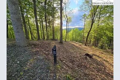 Lot 25 Deer Trail Lane, Elk Park, NC 28622 - Photo 2