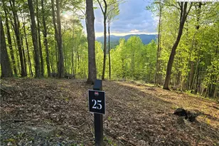 Lot 25 Deer Trail Ln, Elk Park, NC 28622 - Photo 1