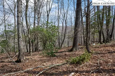 Lot 36 Poplar Forest Drive, Boone, NC 28607 - Photo 10