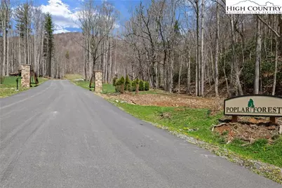 Lot 36 Poplar Forest Drive, Boone, NC 28607 - Photo 2