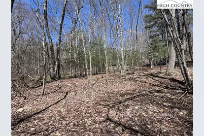 Tbd (Lots 74 & 75) Forest Hill Drive, Sparta, NC 28675 - Photo 14