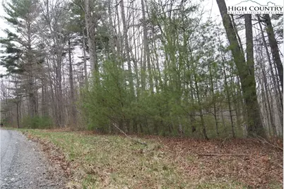 Tbd (Lots 74 & 75) Forest Hill Drive, Sparta, NC 28675 - Photo 4