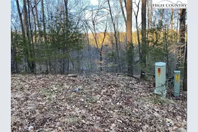 Tbd (Lots 74 & 75) Forest Hill Drive, Sparta, NC 28675 - Photo 2