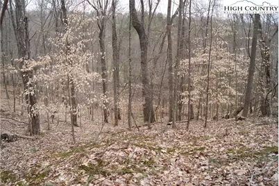 Tbd (Lots 74 & 75) Forest Hill Drive, Sparta, NC 28675 - Photo 12