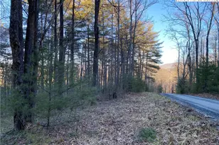 Tbd (Lots 74 & 75) Forest Hill Dr, Sparta, NC 28675 - Photo 1