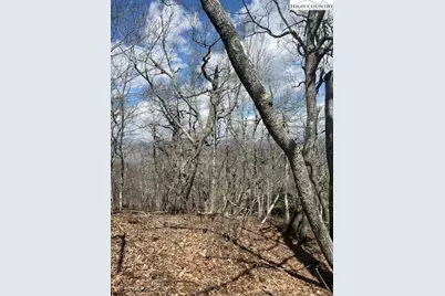 Tbd Fire Tower Road Road, Boone, NC 28607 - Photo 4
