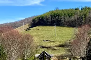 4 Twin Oaks Mountain Blvd, Sparta, NC 28675 - Photo 1