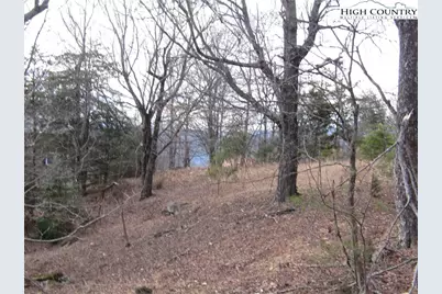 Tbd Greenstreet Dr, Traphill, NC 28685 - Photo 8