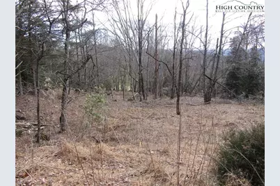 Tbd Greenstreet Dr, Traphill, NC 28685 - Photo 6