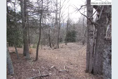 Tbd Greenstreet Dr, Traphill, NC 28685 - Photo 4