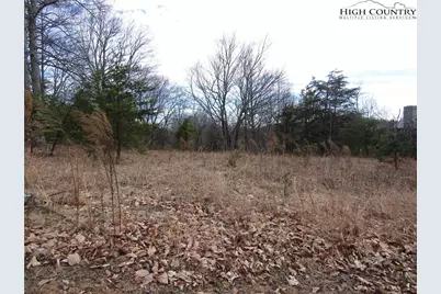 Tbd Greenstreet Dr, Traphill, NC 28685 - Photo 10