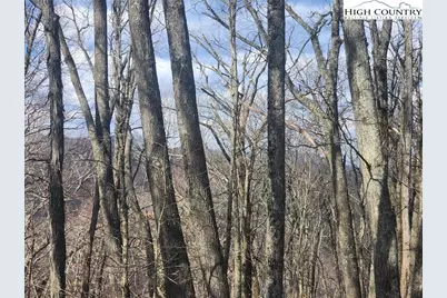 Tbd Spur Cove Lane, Boone, NC 28607 - Photo 16