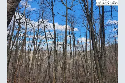 Tbd Spur Cove Lane, Boone, NC 28607 - Photo 26