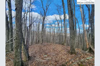 Tbd Spur Cove Lane, Boone, NC 28607 - Photo 20
