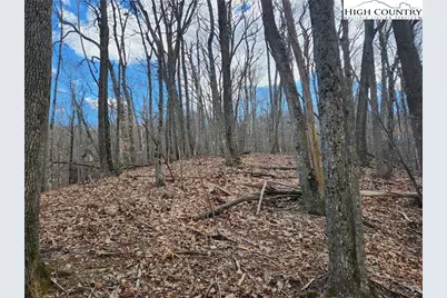 Tbd Spur Cove Lane, Boone, NC 28607 - Photo 30