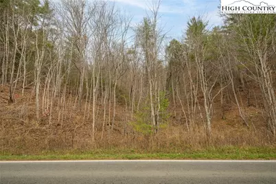Tbd 321 Highway, Sugar Grove, NC 38679 - Photo 2