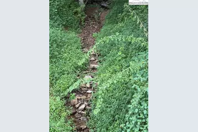 Tbd 321 Highway, Sugar Grove, NC 38679 - Photo 16