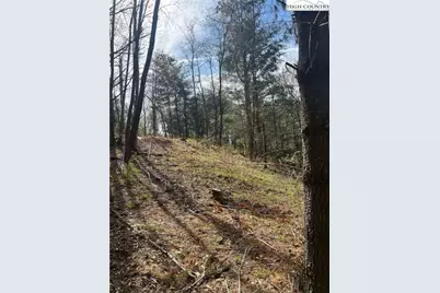 101 Pleasant Home Road, Sparta, NC 28675 - Photo 4