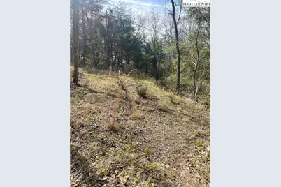 101 Pleasant Home Road, Sparta, NC 28675 - Photo 8