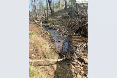 101 Pleasant Home Road, Sparta, NC 28675 - Photo 2