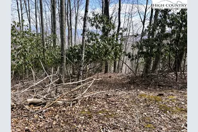 Lot 14 Larkspur Trail, Banner Elk, NC 28604 - Photo 4