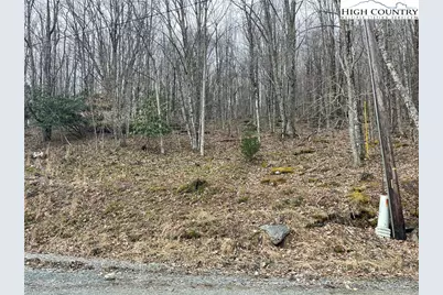 100 Fireweed Lane, Beech Mountain, NC 28604 - Photo 8