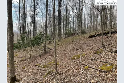 100 Fireweed Lane, Beech Mountain, NC 28604 - Photo 2