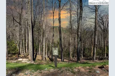 Lot 12 Wildcat Wilderness Parkway, Deep Gap, NC 28618 - Photo 1