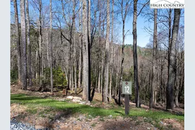 Lot 12 Wildcat Wilderness Parkway, Deep Gap, NC 28618 - Photo 2