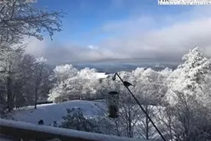 211 & 213 Wild Daisy Ln, Beech Mountain, NC 28604 - Photo 30