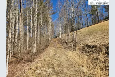 6033 Hwy 321 Highway, Sugar Grove, NC 28679 - Photo 16