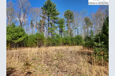 6033 Hwy 321 Highway, Sugar Grove, NC 28679 - Photo 4