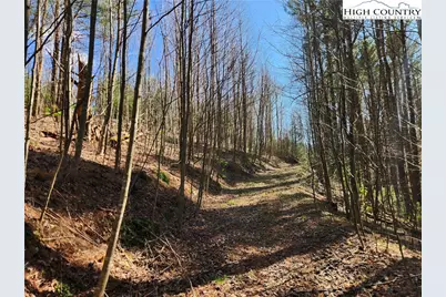 6033 Hwy 321 Highway, Sugar Grove, NC 28679 - Photo 22